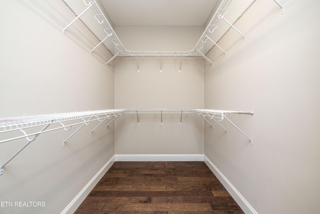 walk in closet with dark hardwood / wood-style floors