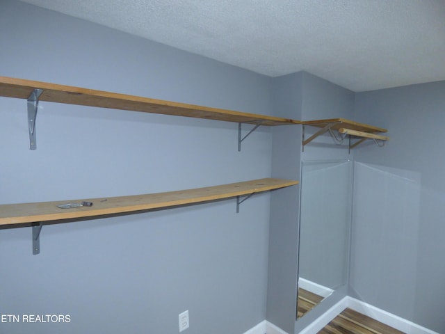 walk in closet featuring wood-type flooring