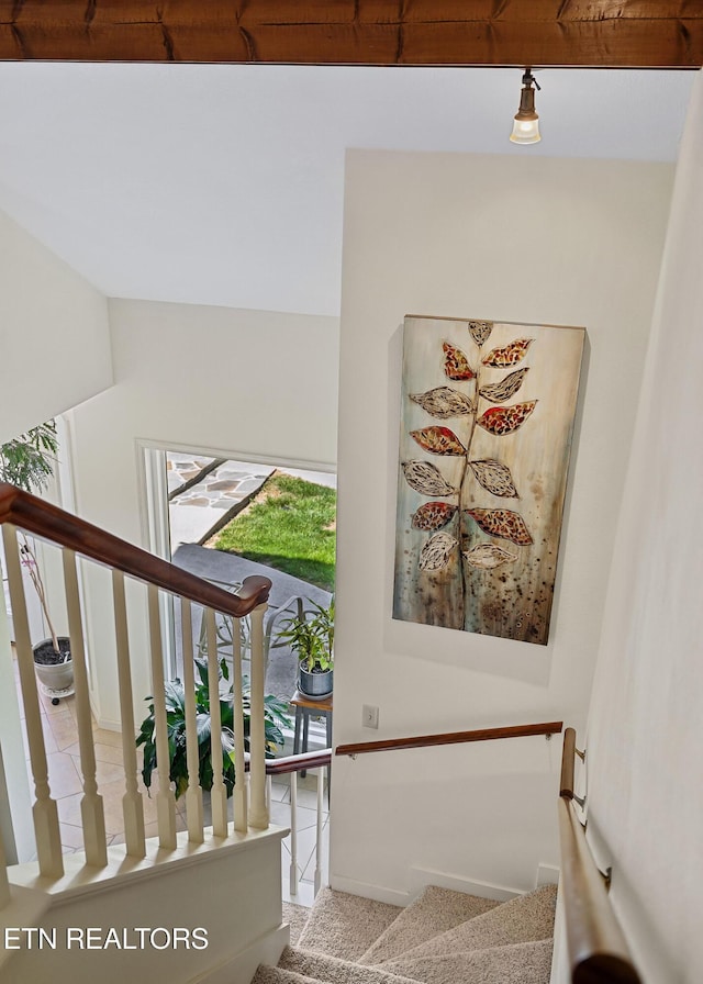 stairway featuring carpet flooring