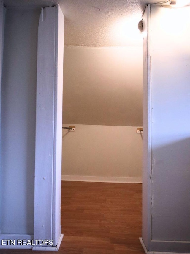 walk in closet with hardwood / wood-style flooring