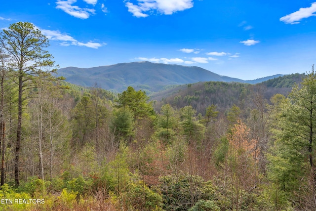 property view of mountains