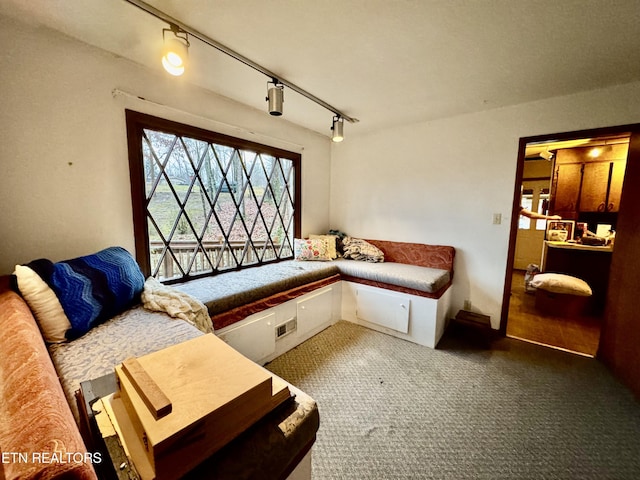 sitting room with carpet, track lighting, and breakfast area