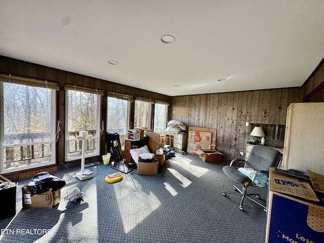 misc room with wood walls and a wealth of natural light