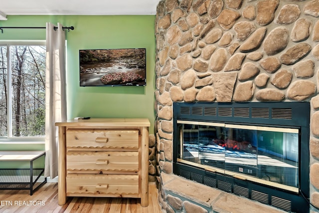 details featuring wood-type flooring and a stone fireplace