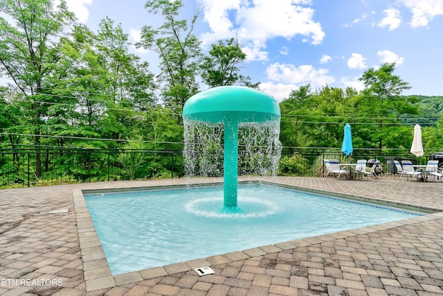 view of pool with a patio