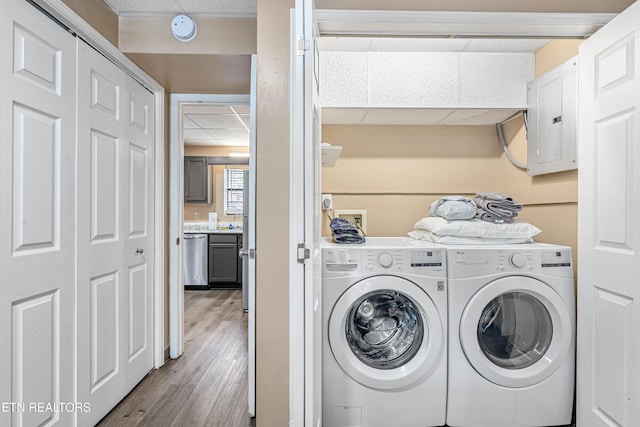 laundry room with light wood-type flooring, electric panel, and washer and clothes dryer