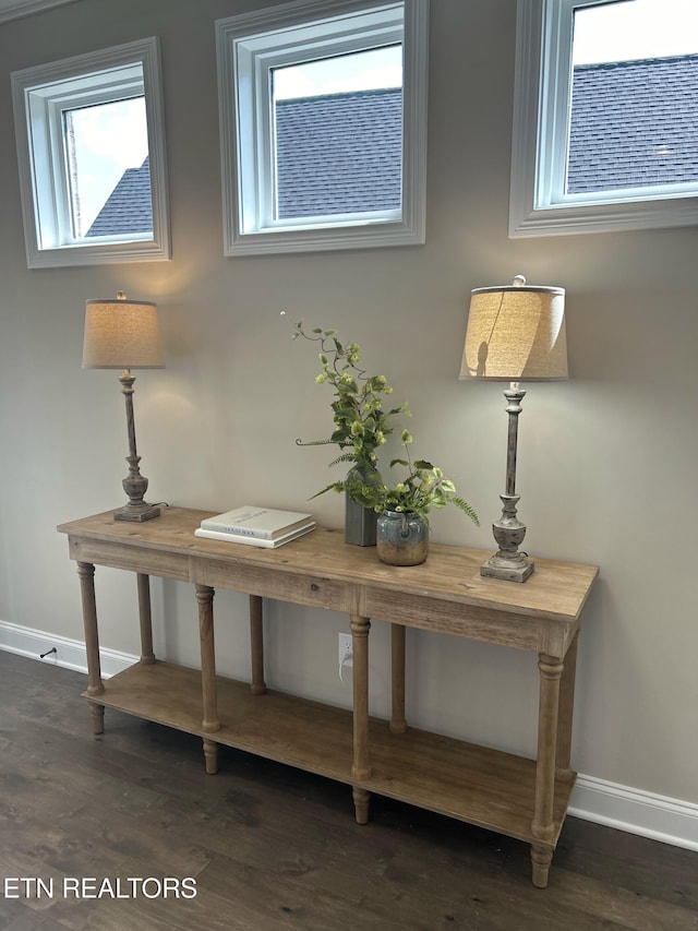 interior details with baseboards and wood finished floors