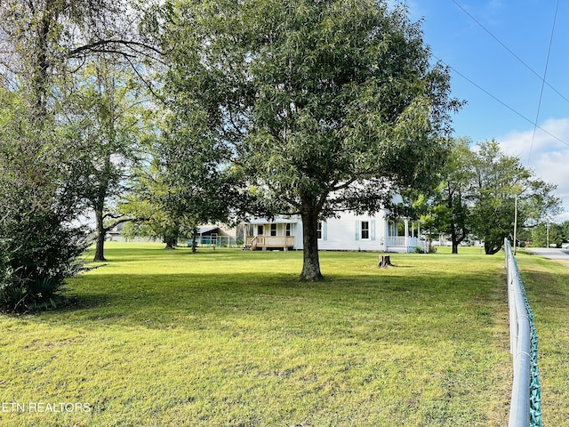 view of yard