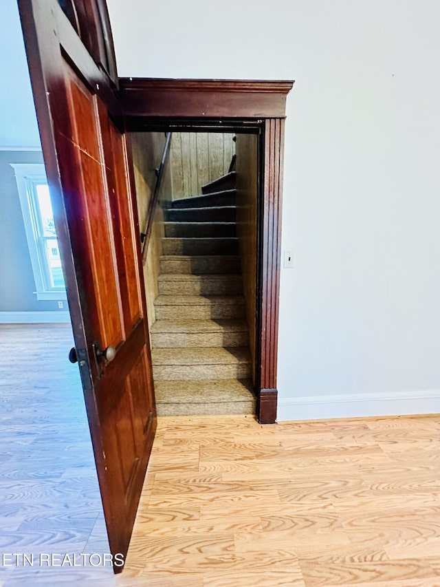 staircase featuring hardwood / wood-style floors