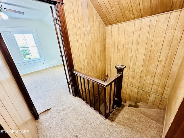 stairs with carpet floors, wood walls, ceiling fan, and vaulted ceiling