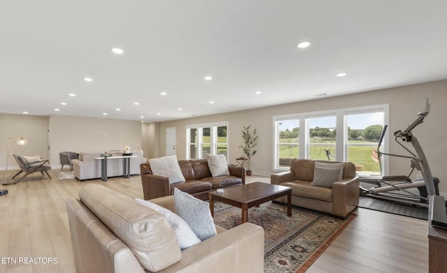 living room featuring plenty of natural light and light wood-type flooring