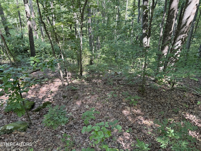 Little Pl, Monterey, TN 38574 - photo 5