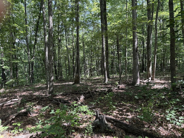 Little Pl, Monterey, TN 38574 - photo 1