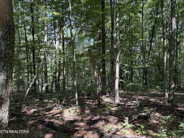 Little Pl, Monterey, TN 38574 - photo 6