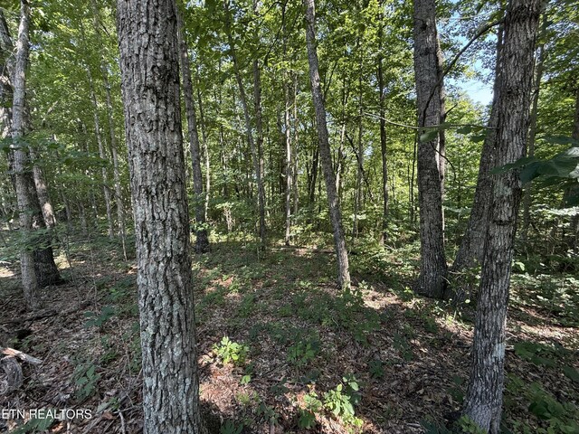 Little Pl, Monterey, TN 38574 - photo 10