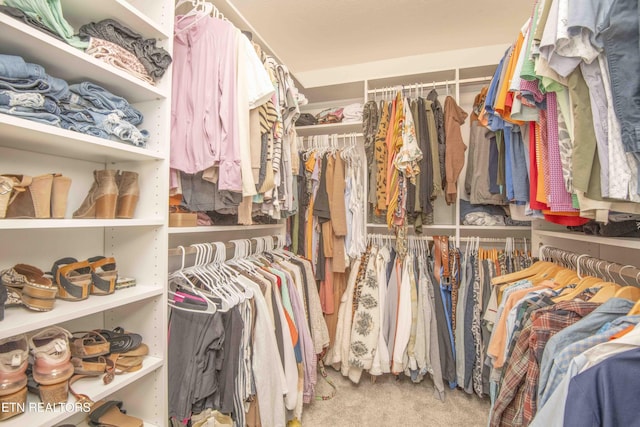 spacious closet with carpet floors