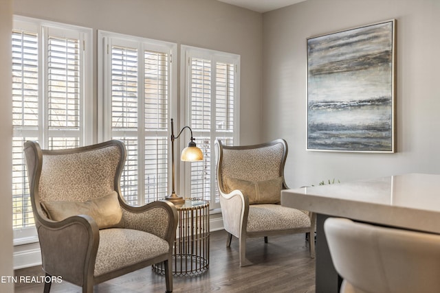 living area featuring a wealth of natural light and dark hardwood / wood-style flooring