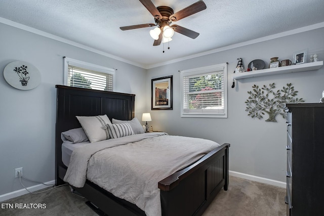 carpeted bedroom with multiple windows, ornamental molding, and a textured ceiling