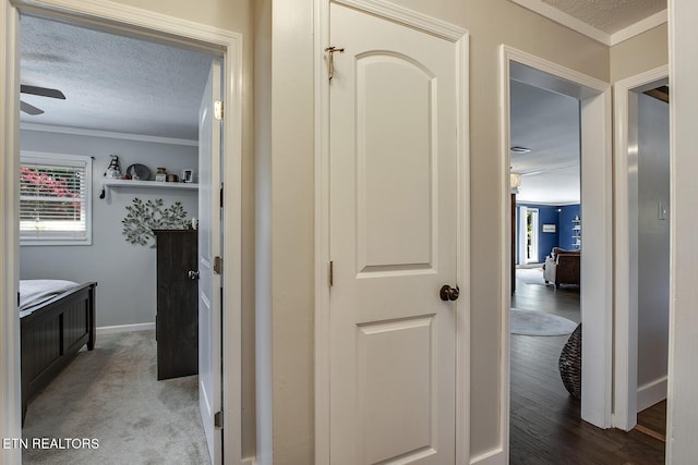 hallway with ornamental molding, wood-type flooring, and a textured ceiling