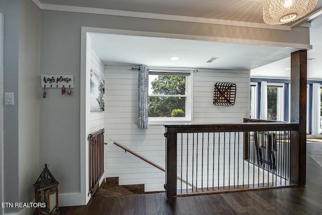 stairs with hardwood / wood-style flooring and wooden walls