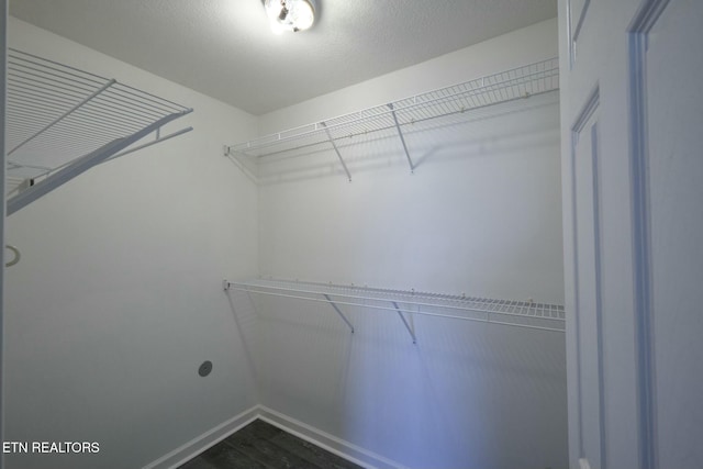 spacious closet featuring dark wood-type flooring