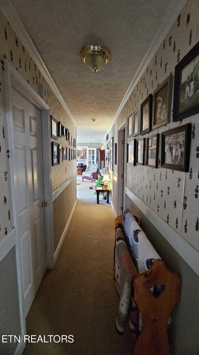 corridor featuring crown molding, carpet flooring, and a textured ceiling