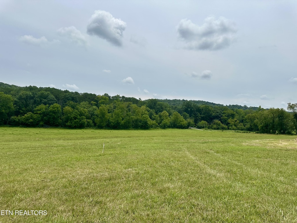 LOT5 Rutledge Pike, Blaine, TN 37709