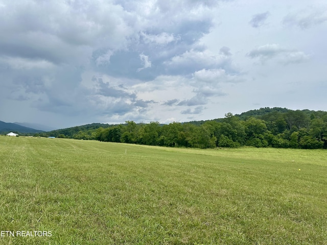 Listing photo 3 for LOT8 Rutledge Pike, Blaine TN 37709