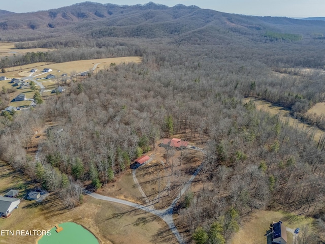 bird's eye view featuring a mountain view