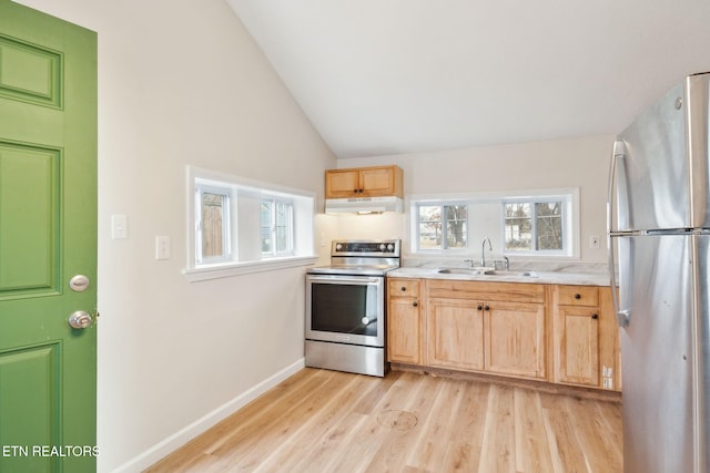 kitchen with sink, a wealth of natural light, stainless steel appliances, and vaulted ceiling