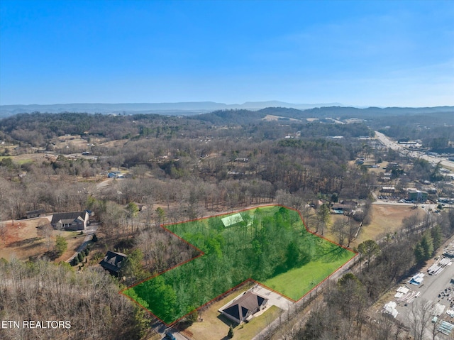 aerial view with a mountain view