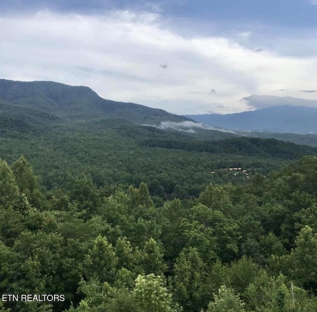 view of mountain feature