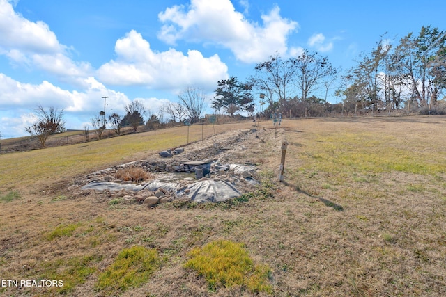 view of yard with a rural view