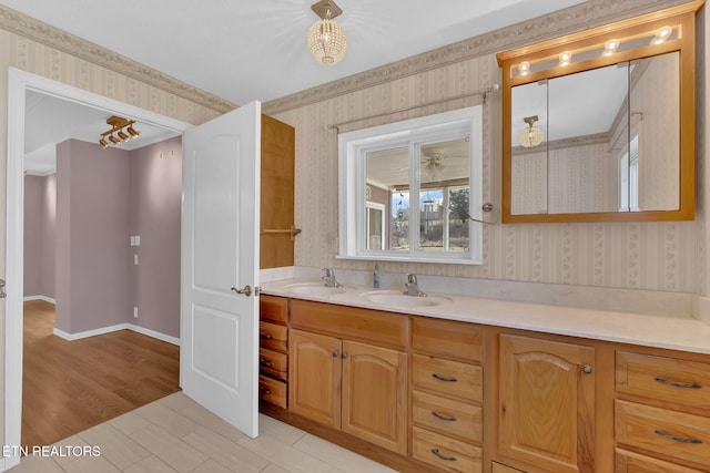 bathroom with vanity and wood-type flooring