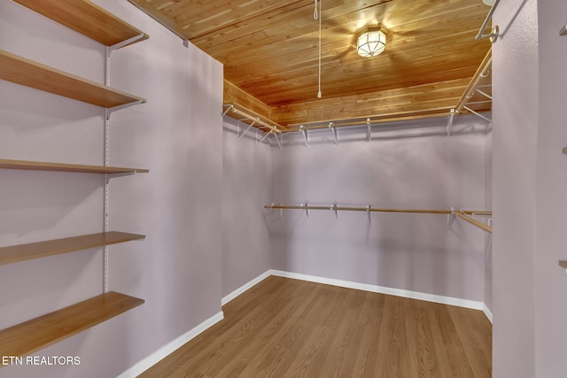 spacious closet with hardwood / wood-style floors