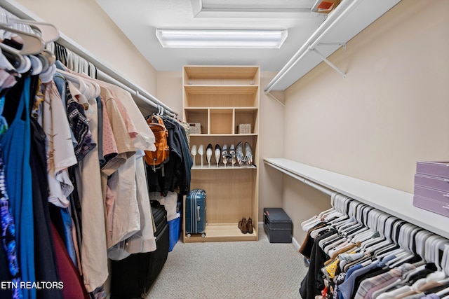 walk in closet with carpet flooring