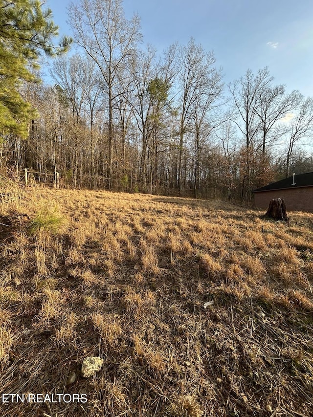 Listing photo 3 for Fairgrounds Pl, Kingston TN 37763