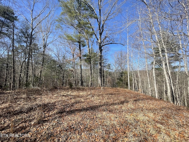 197 Terrapin Dr, Turtletown TN, 37391 land for sale