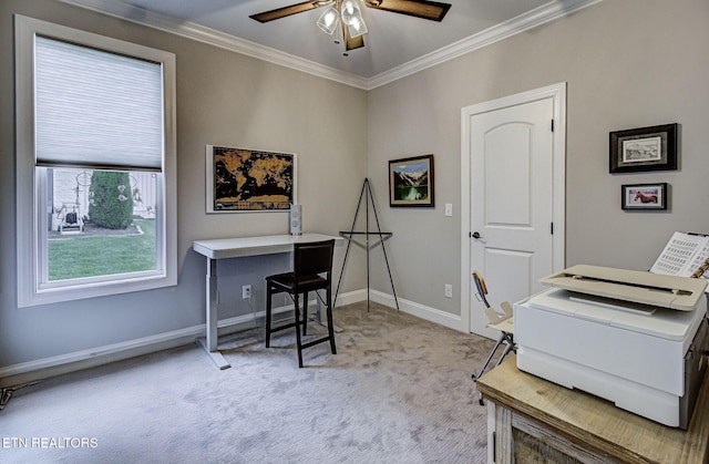 carpeted office featuring ceiling fan and ornamental molding