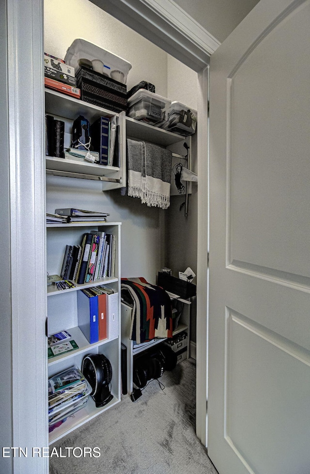 walk in closet with carpet