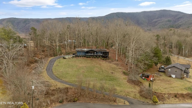 drone / aerial view featuring a mountain view