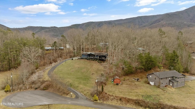 birds eye view of property with a mountain view