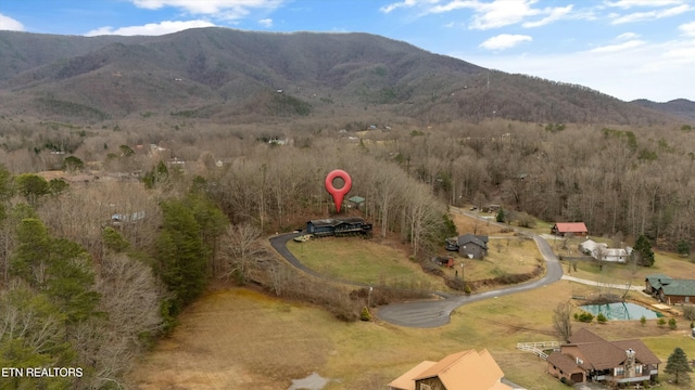 drone / aerial view with a mountain view