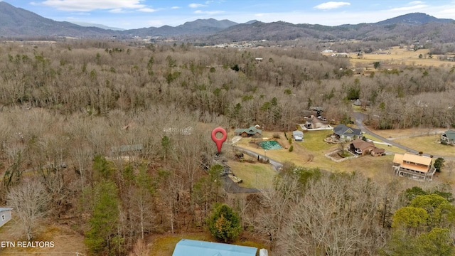 drone / aerial view with a mountain view