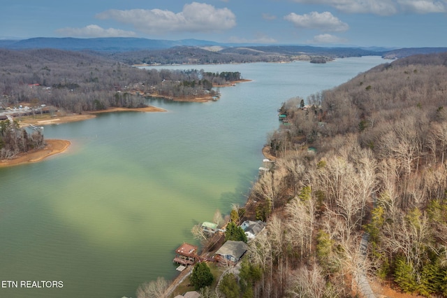 drone / aerial view with a water and mountain view