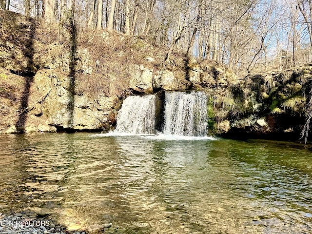 view of water feature