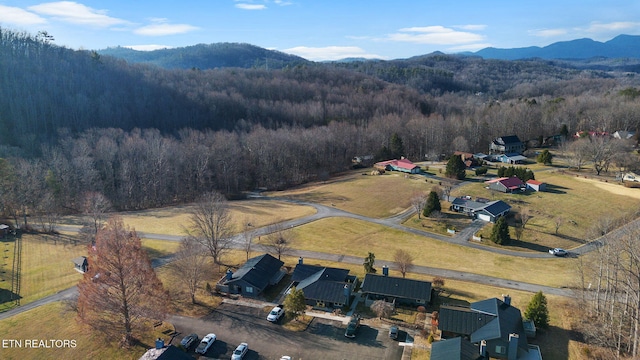 bird's eye view featuring a mountain view