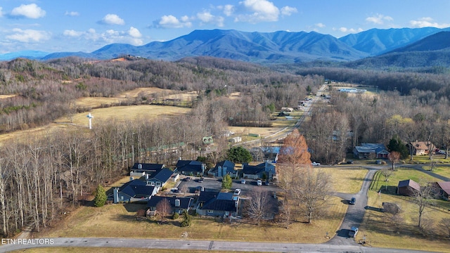 drone / aerial view with a mountain view