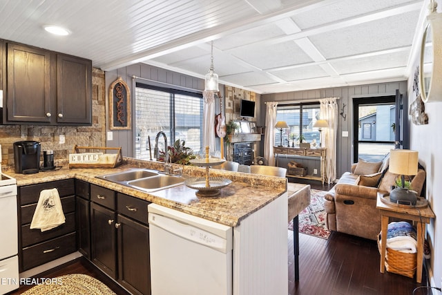 kitchen with dark brown cabinetry, sink, a healthy amount of sunlight, and dishwasher