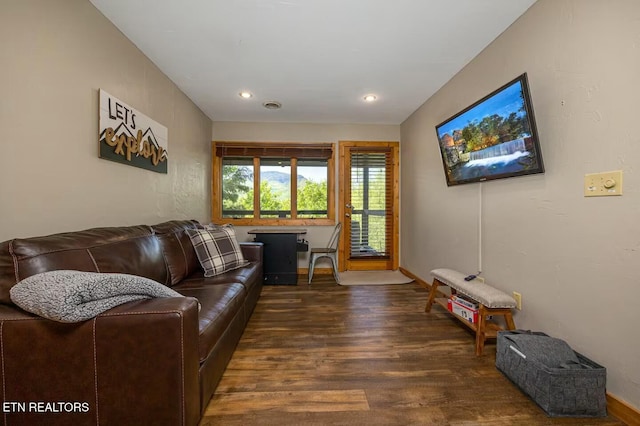 living room featuring dark wood-type flooring